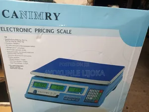 Electronic Kitchen Scale