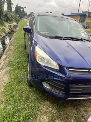 Ford Escape SE 2013 Blue