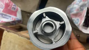 2” Non Return Valve Pn40
