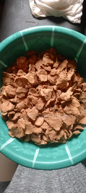 Groundnut Cookies (Kuli Kuli) in Bag Size