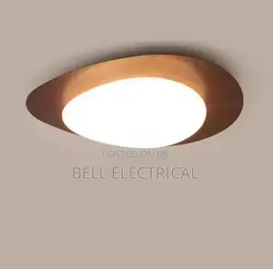 Wood Grain Walnut Color Pebble Shaped Led Ceiling Light