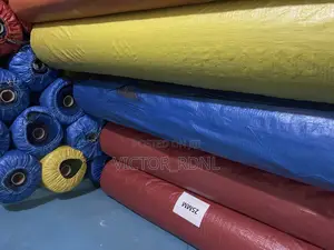 Best Carpet Grass Bundle Price