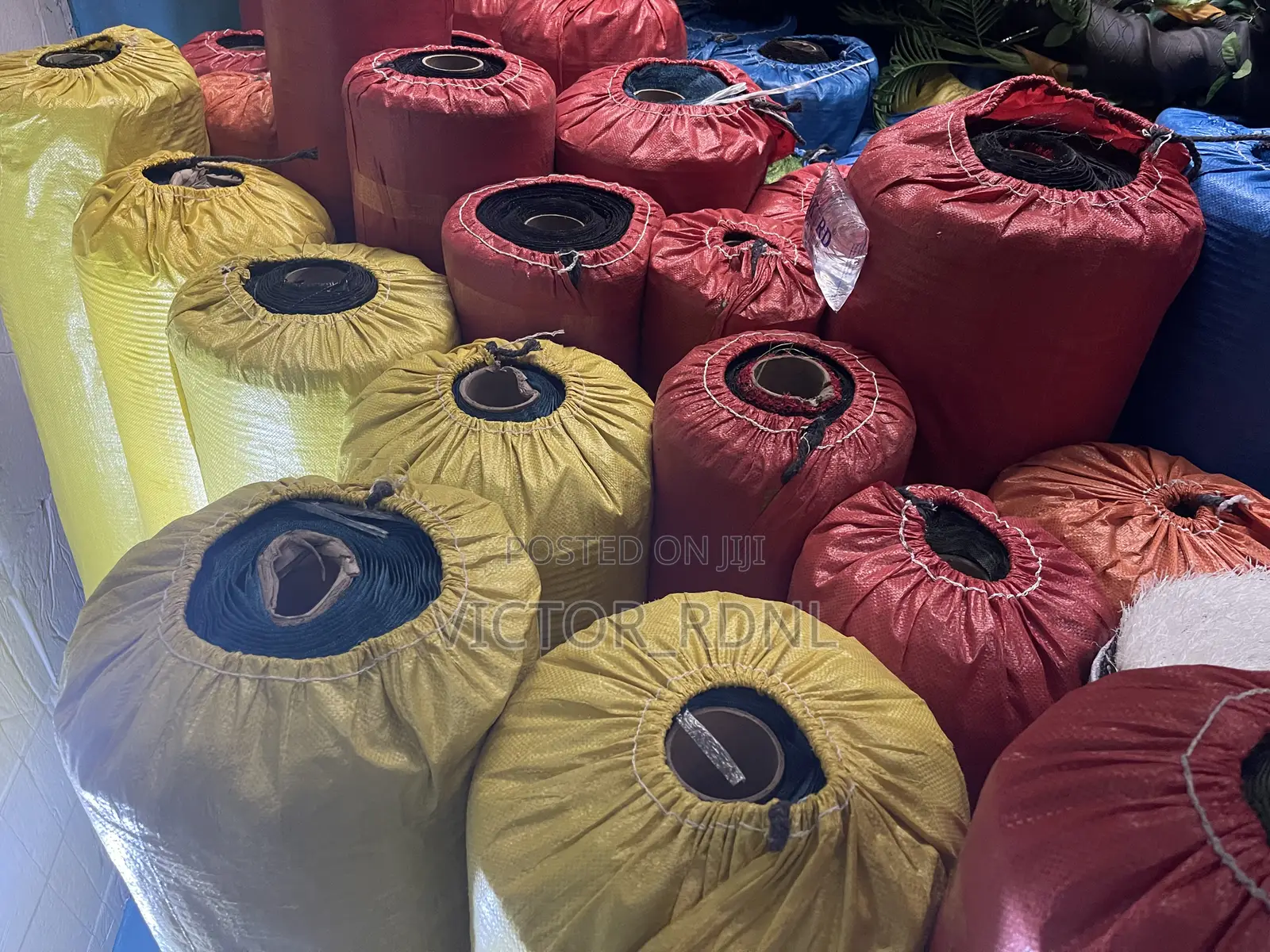 Best Carpet Grass Bundle Price