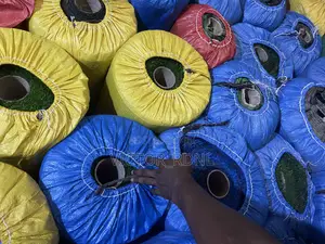 Best Carpet Grass Bundle Price
