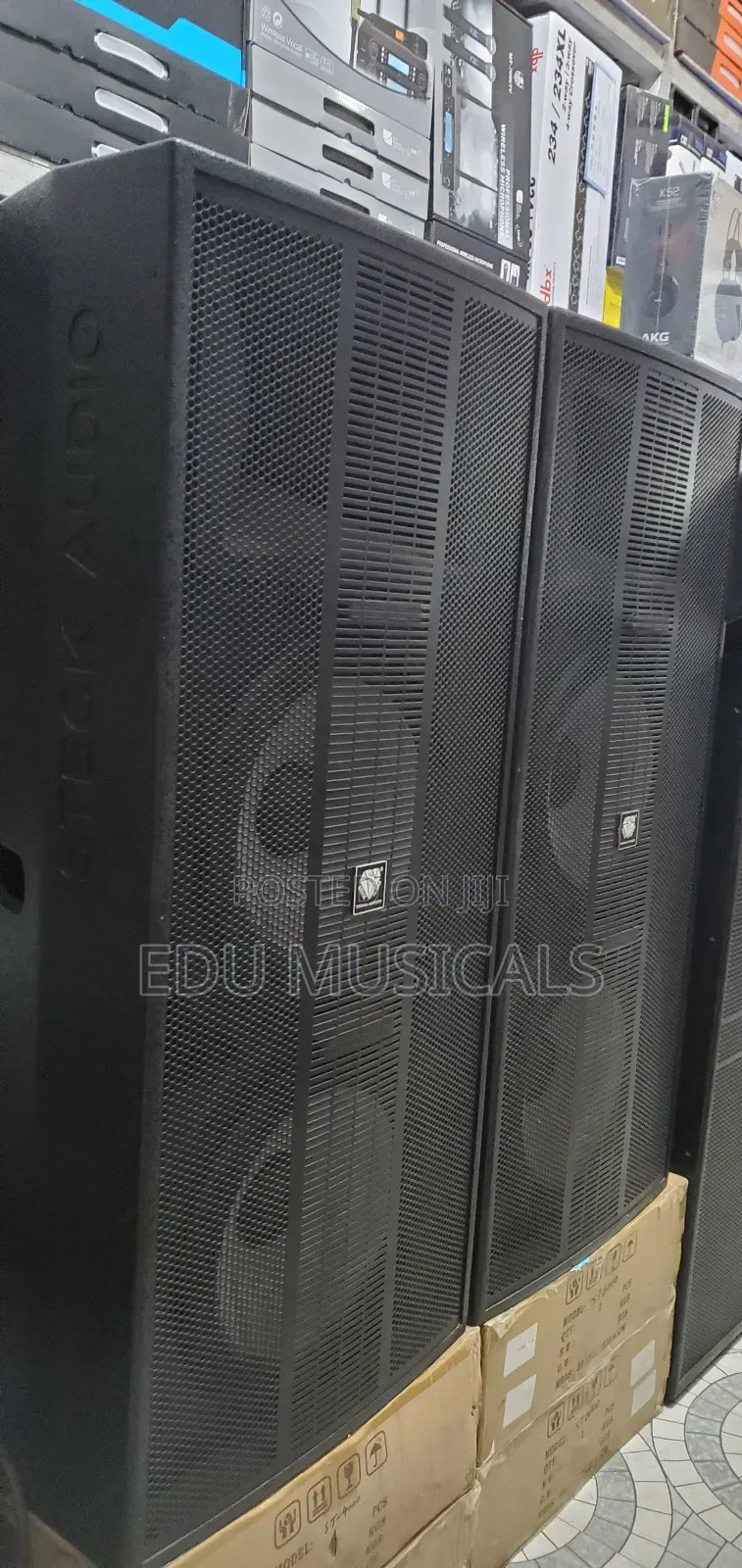 Double Speaker