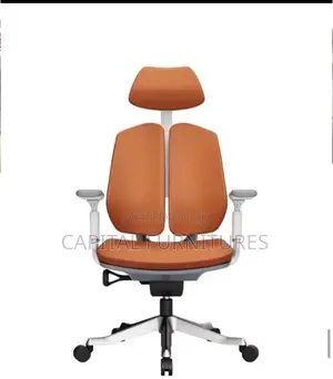 Ergonomics Leather Imported Swivel Chair