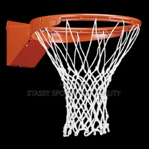 Standard Basketball Rim and Net