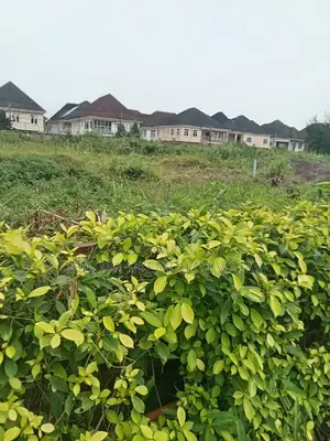 Chevron Land, Governor Consent