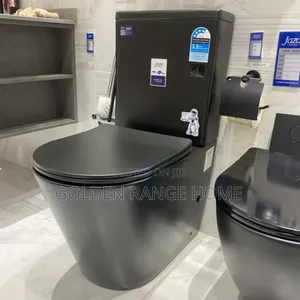 Black Executive Watercloset