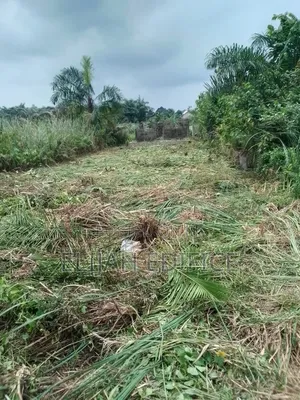 Cheap Half Plot of Land for Sale at Parkview Bagidan,Ikorodu