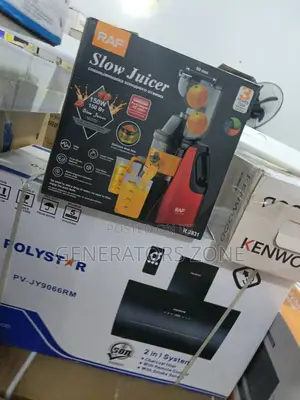 Raf Cold Press Juicer – R.2831 | 150w | Portable Design