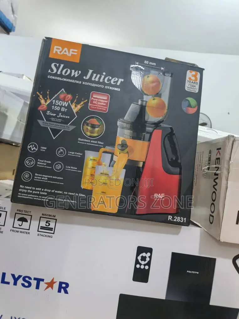 Raf Juicer R.2831 – 150w Cold Press Fruit Veg Extractor