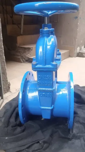 Dn250 Valve