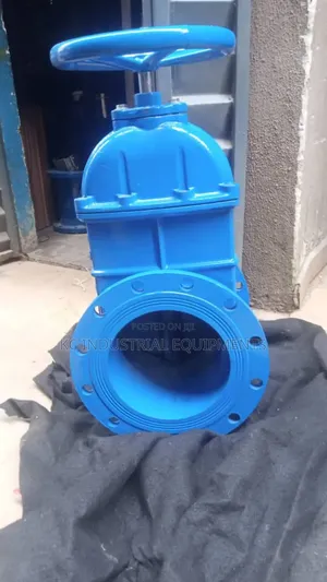 Dn250 Valve