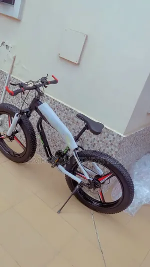 Photo - Sport Bicycles Electric
