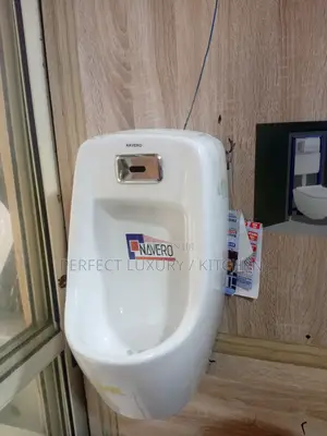 Sensor Urinary Bowl