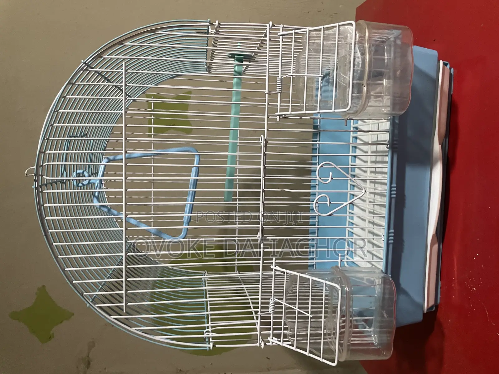 Bird Cages