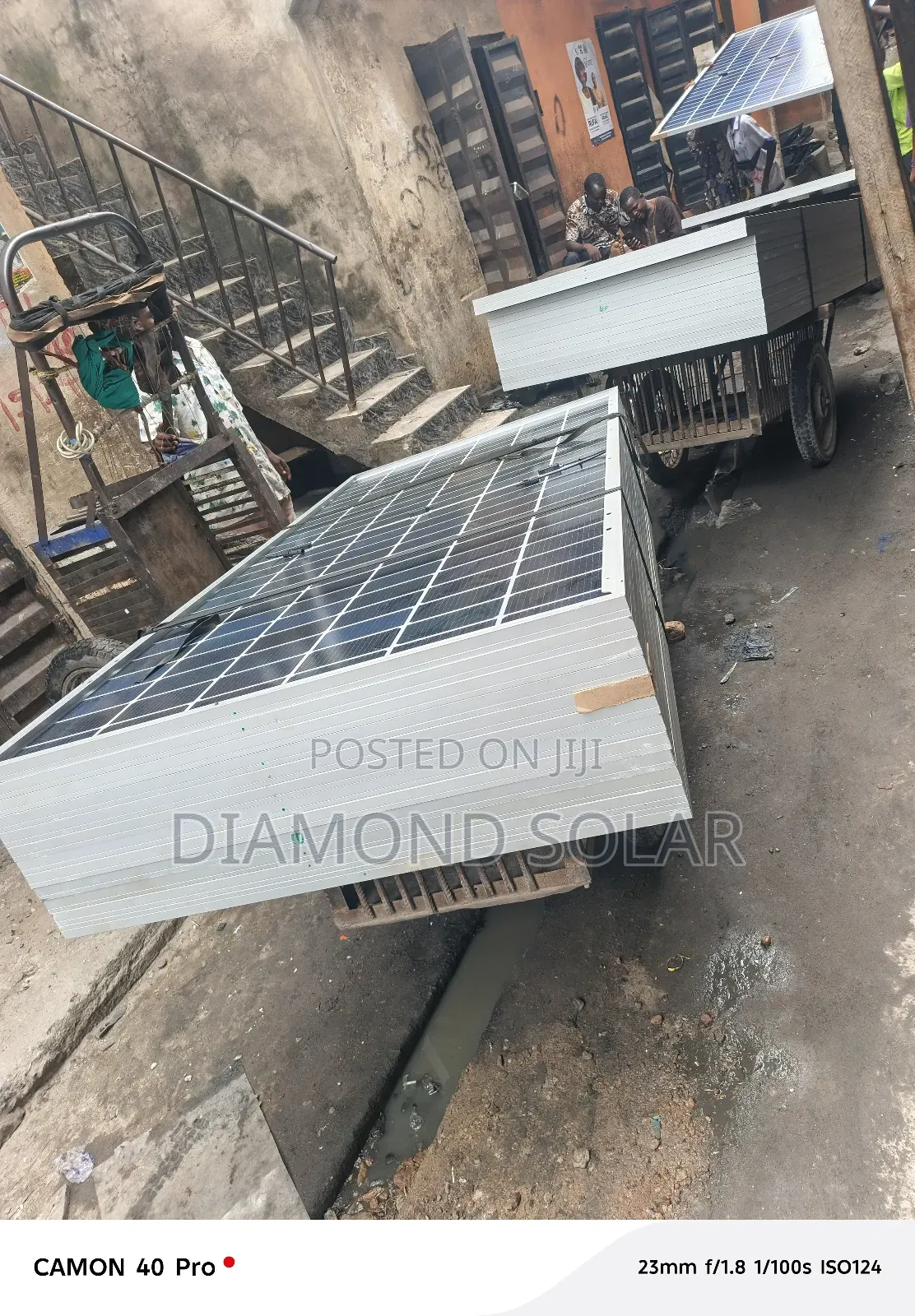 650watts Jinko Solar Panel 144cells Available