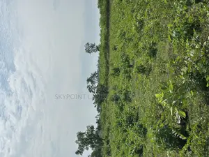 400 Acres Available at Okaka, Itesiwaju Local Government