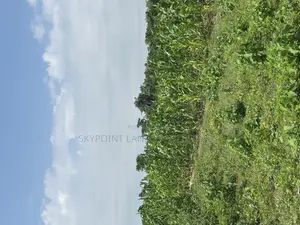 400 Acres Available at Okaka, Itesiwaju Local Government