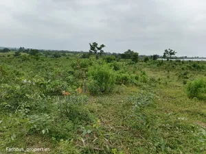 Photo - Farmland for Sale in Ilorin