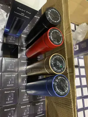 Temperature Water Flast (Smart)