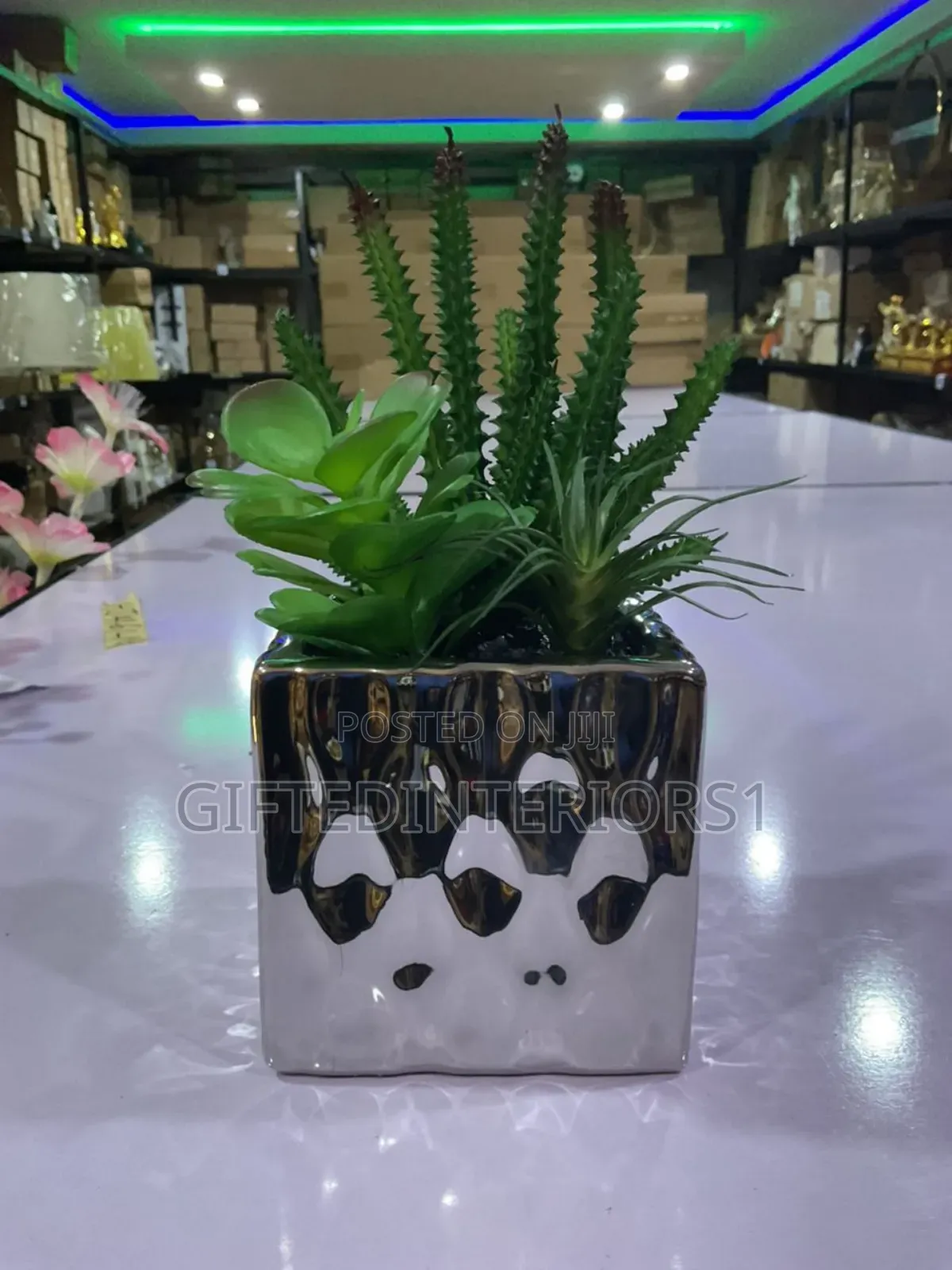 Potted Flower For Home Decor