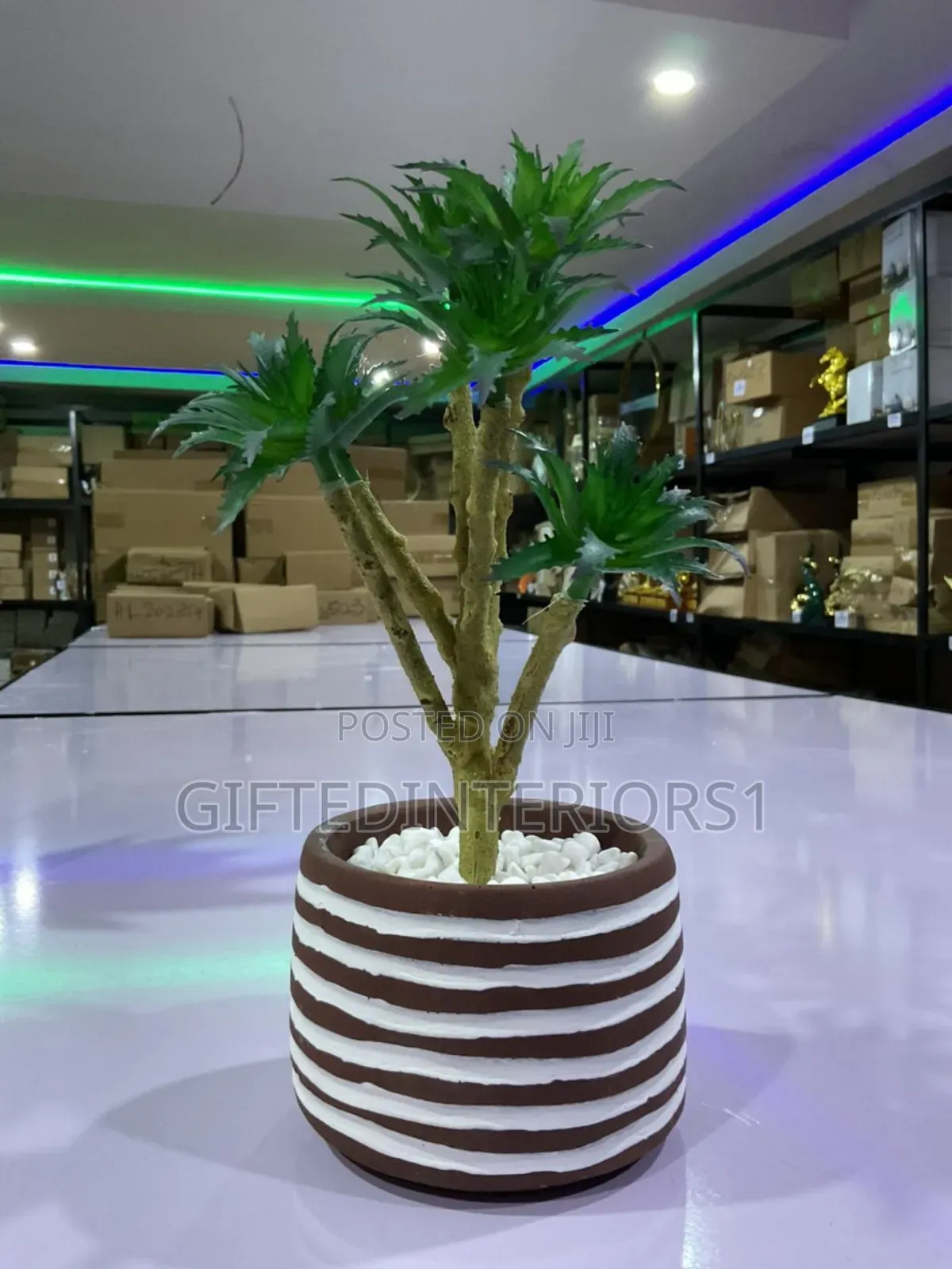 Potted Flower For Home Decor
