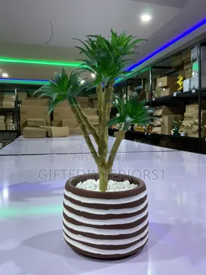 Potted Flower For Home Decor