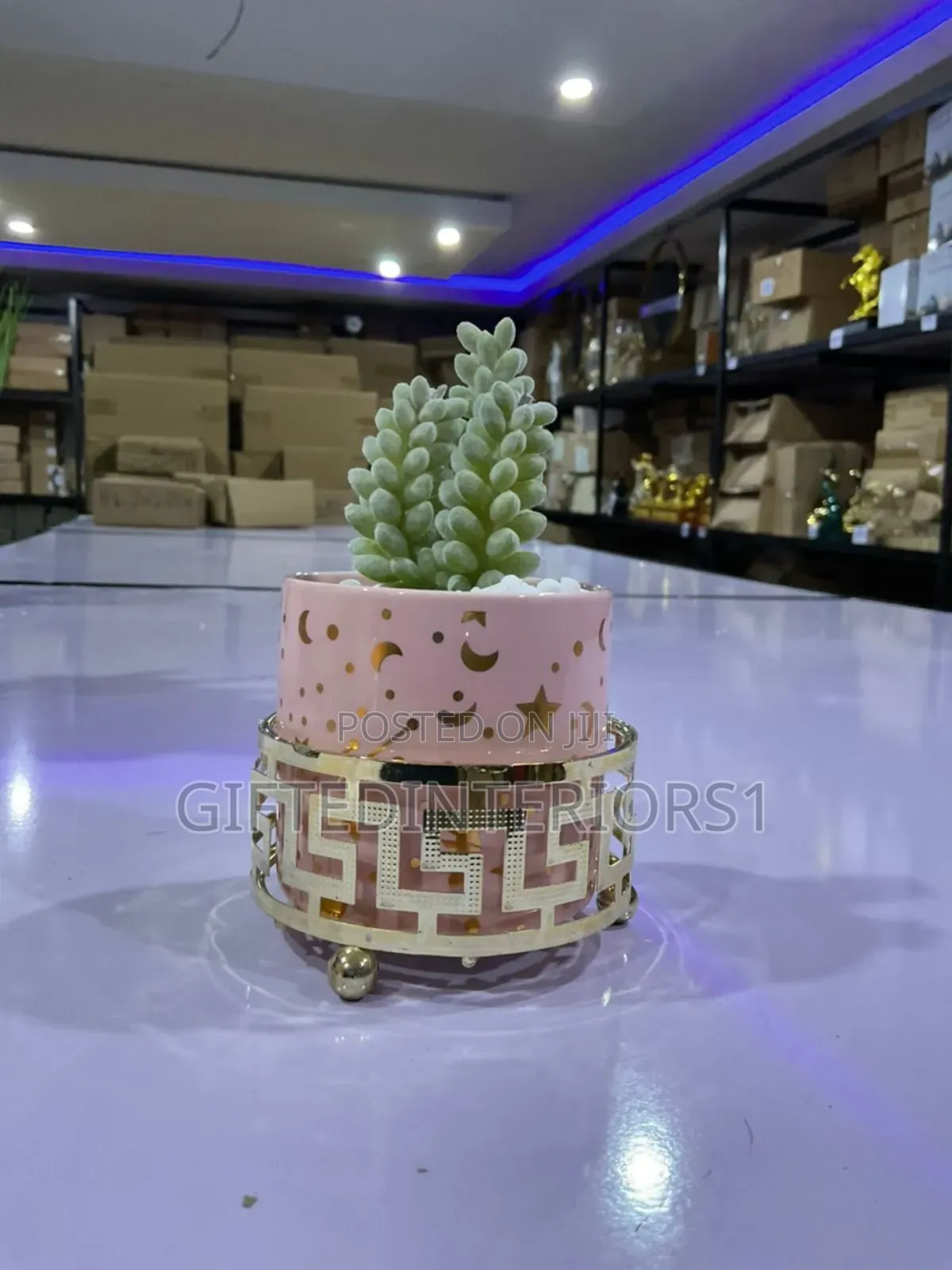 Potted Flowers For Home Decor