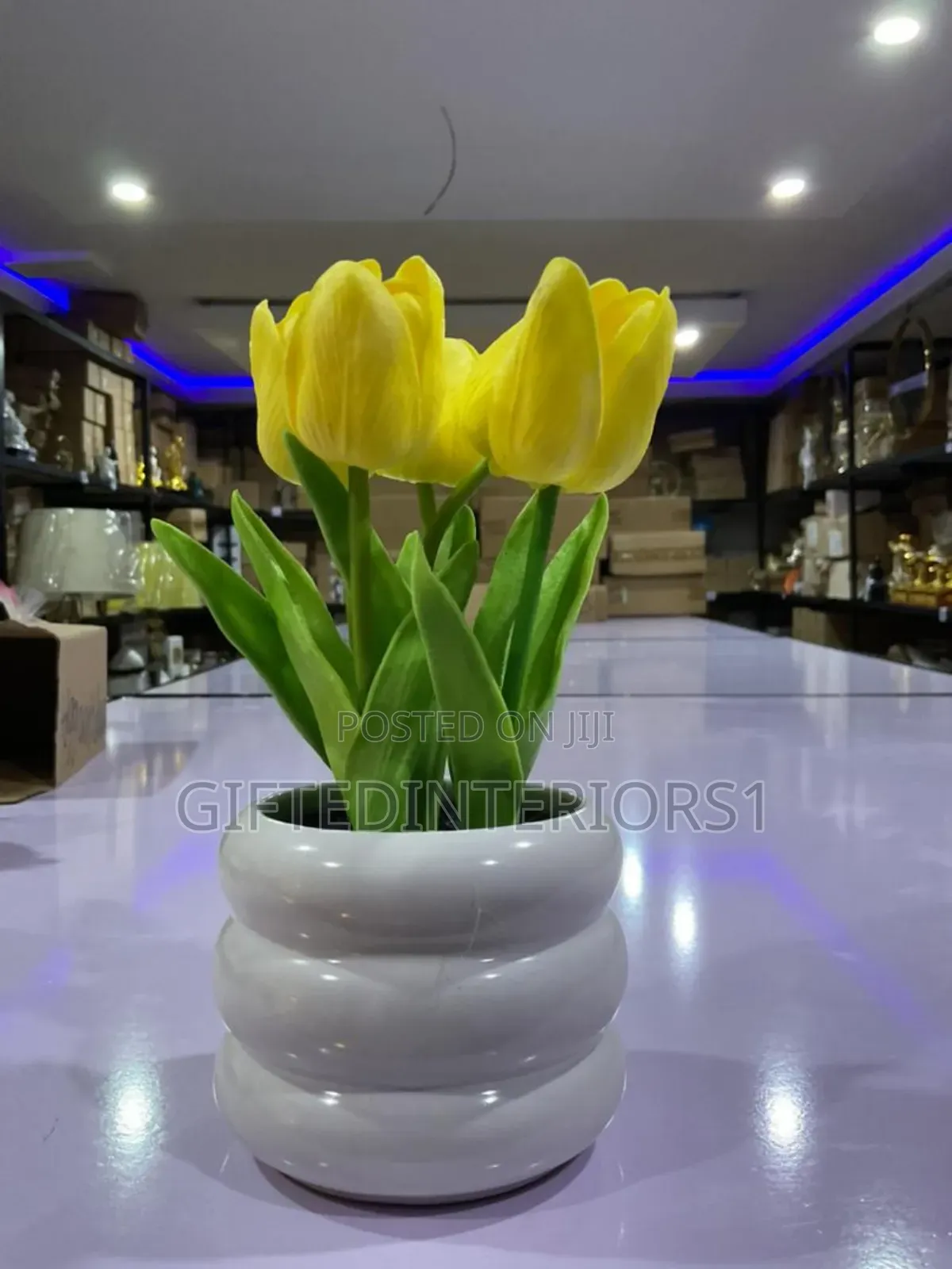 Decorative Potted Flowers