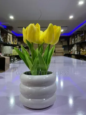 Decorative Potted Flowers