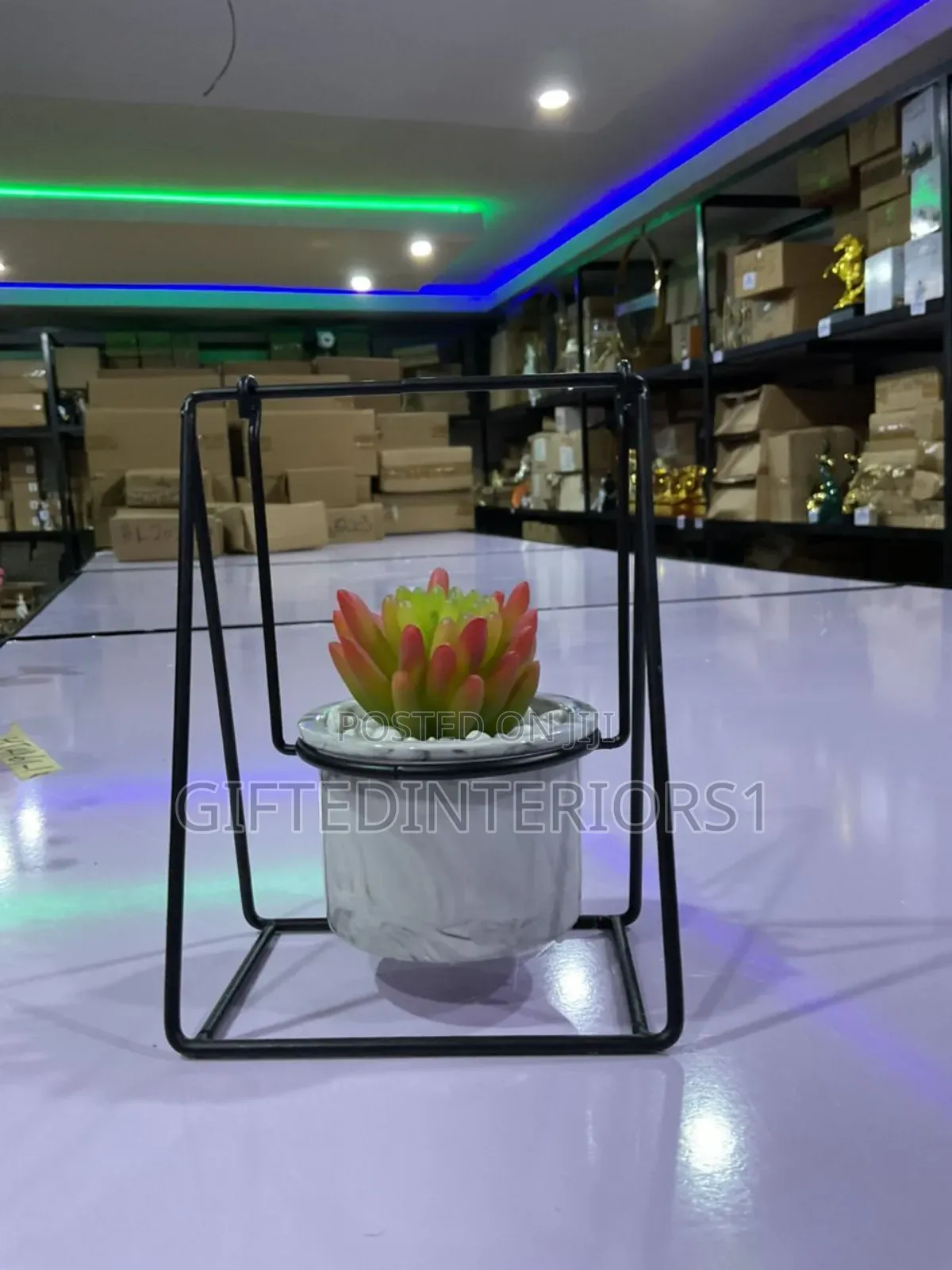 Decorative Potted Flowers