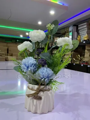 Decorative Potted Flowers