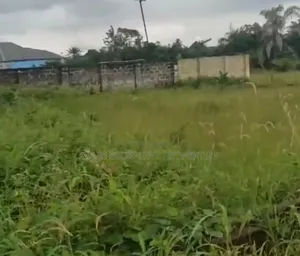 Affordable 100 by 100 New Layout Off Okuokoko Express