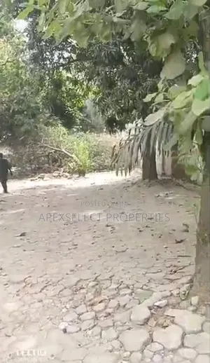 Photo - 1600sqm Prime Land, Wuse 2