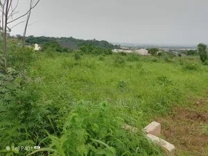 4000 Acres With Survey