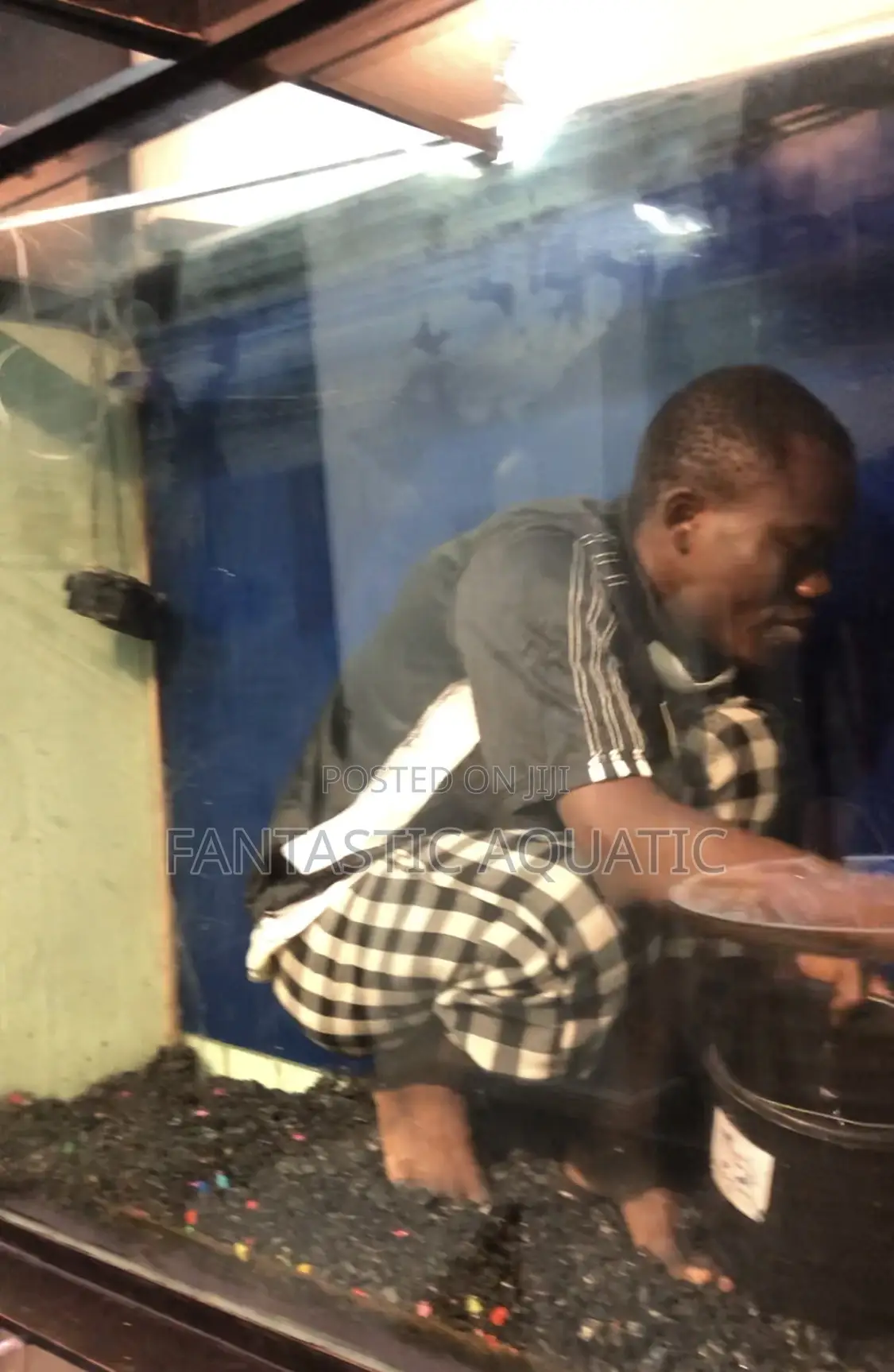 Aquariums Clean and Service