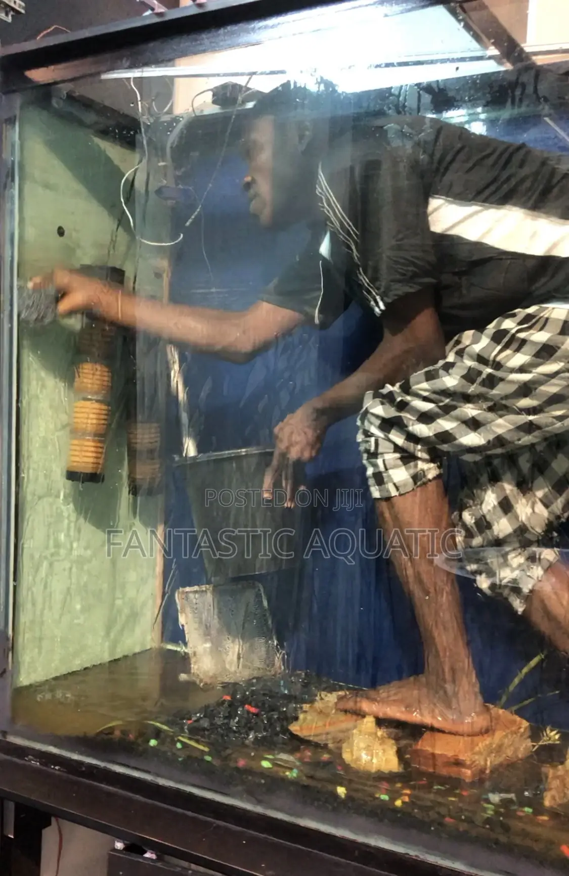 Aquariums Clean and Service