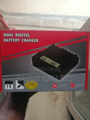 Dual Digital Battery Charger