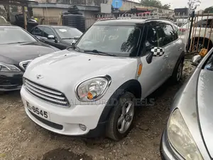 Mini Countryman 2013 White