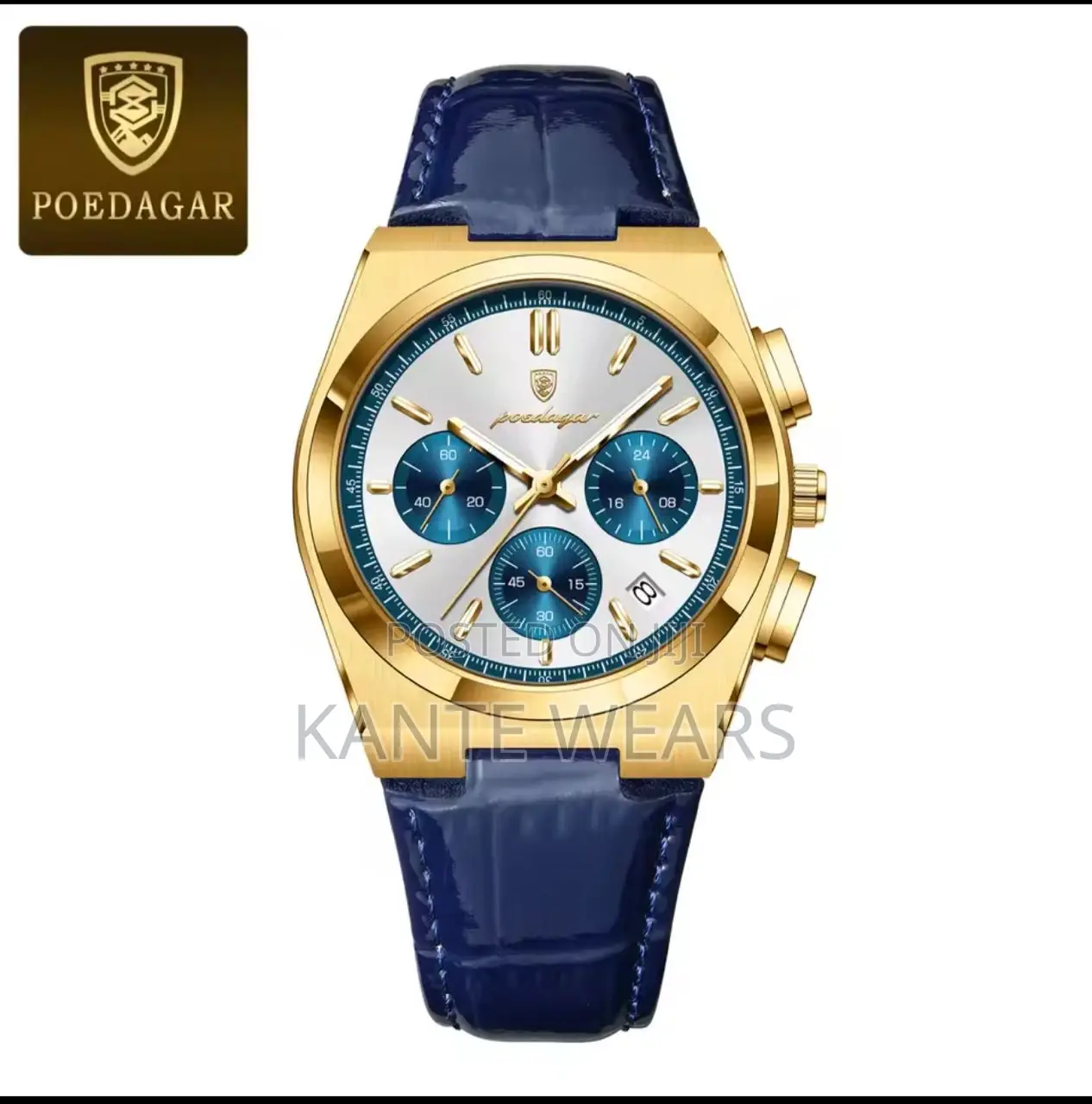 Chronograph Poedagar Leather Watch