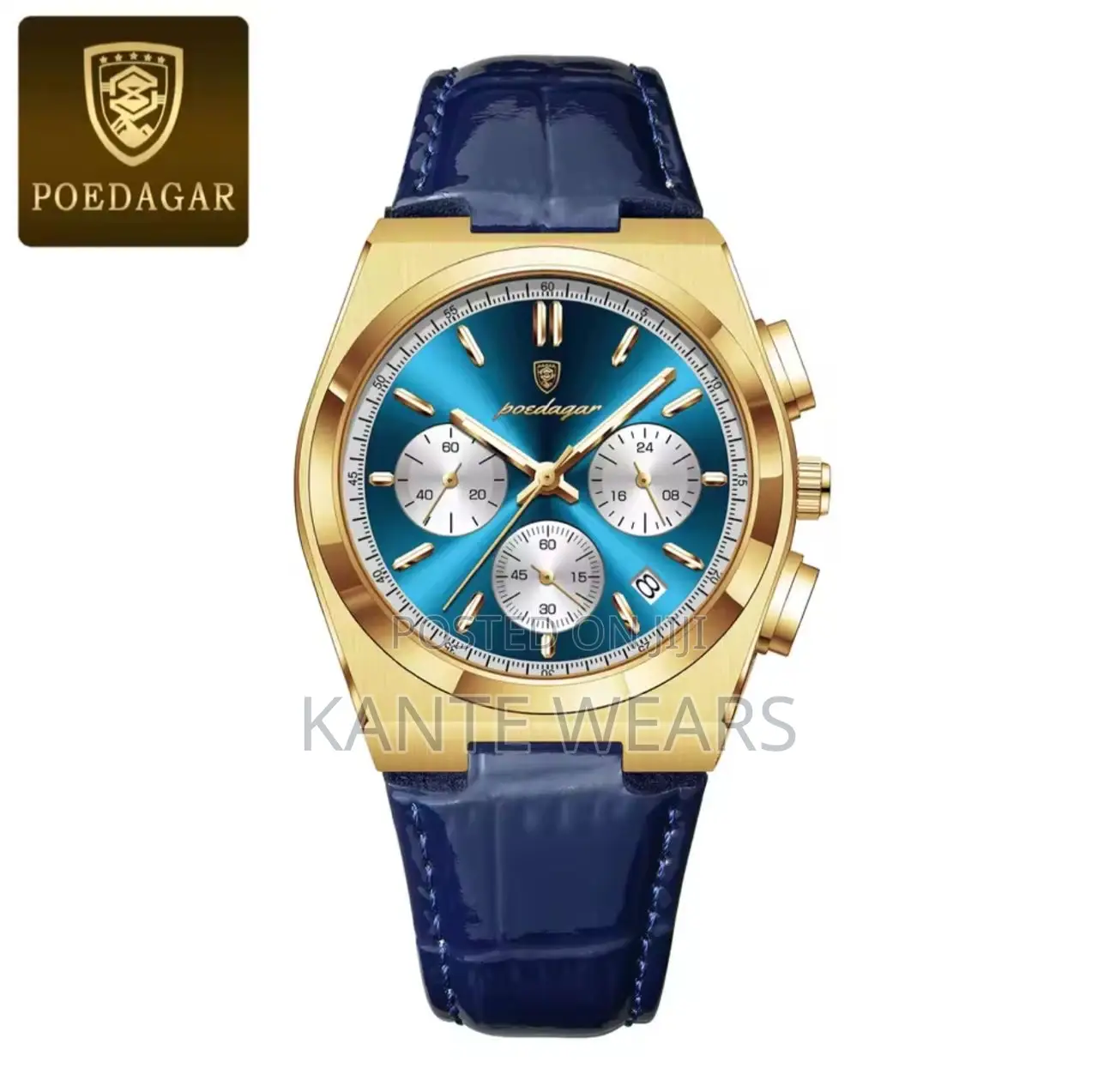Chronograph Poedagar Leather Watch