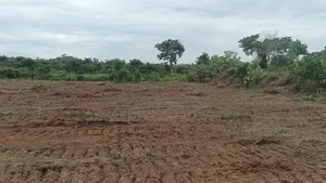 Cheap Nuak Estate at Ogbeke Nike