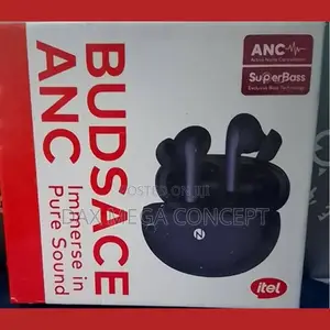 Budsace Anc