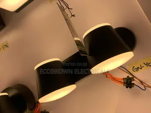 Double Wall Lamp