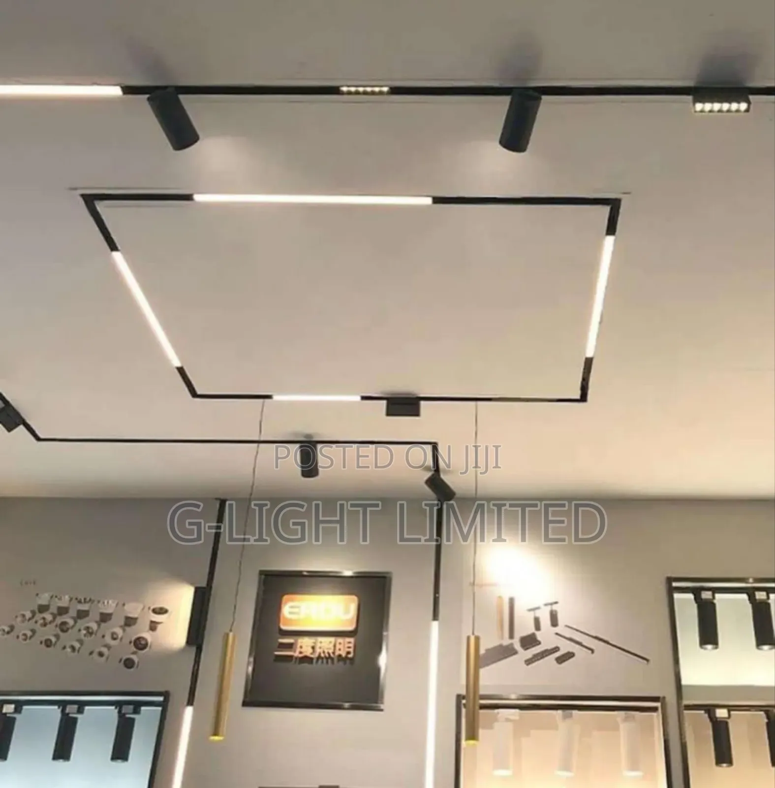 Magnetic Lights