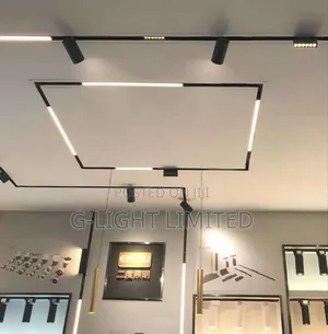 Magnetic Lights
