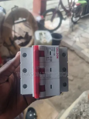 Celdon Wsb1-125 C100 Miniature Circuit Breaker (Mcb).