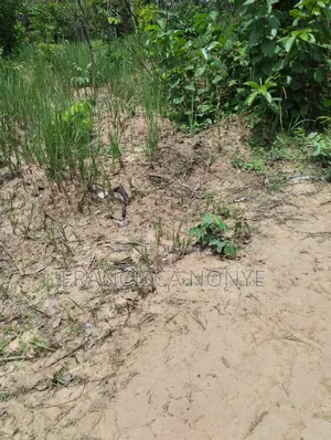Genuine Plots Of Land For Sale